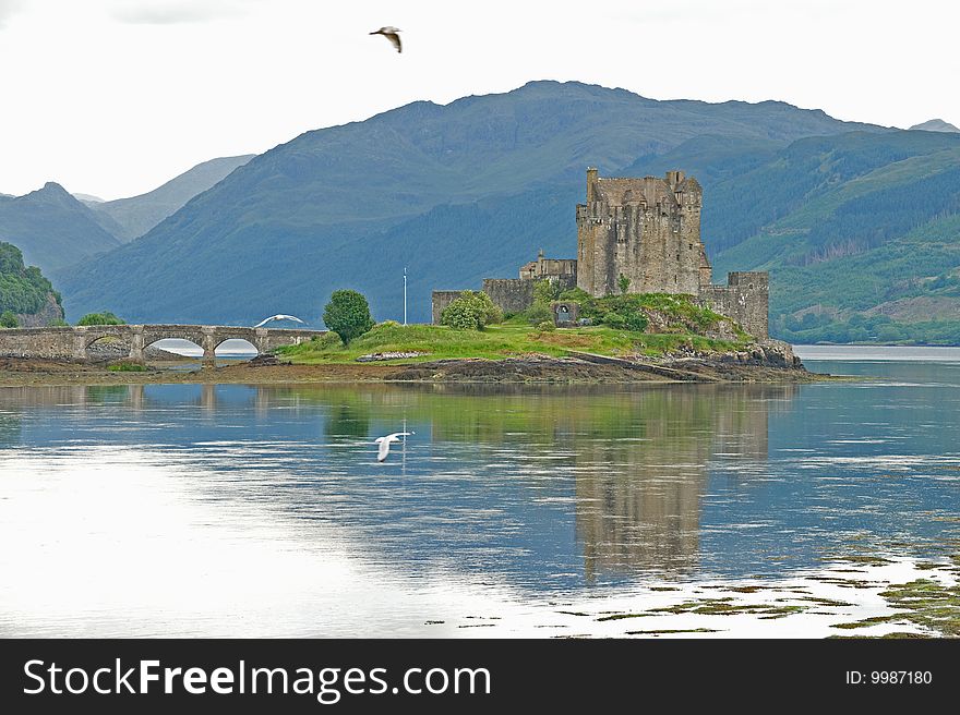 This image of Eilean Donan Castle contrasts starkly with another in this portfolio taken in golden light but shows how sea gulls in the frame lift the quality and interest. This image of Eilean Donan Castle contrasts starkly with another in this portfolio taken in golden light but shows how sea gulls in the frame lift the quality and interest.