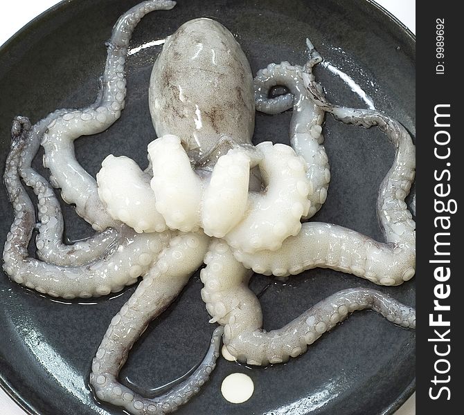 One uncooked octopus on black ceramic plate