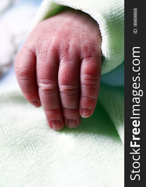 Close view of the hand of a newborn baby. Close view of the hand of a newborn baby.