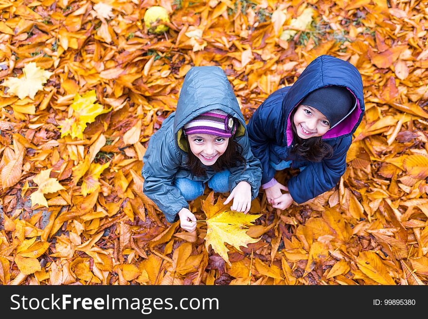 Top view of little girls in autumn orange leaves at park