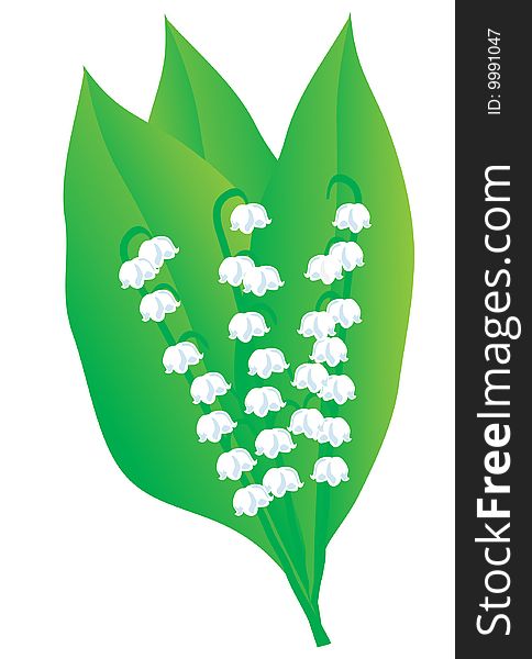 A bouquet of lily of the valley. Vector illustration