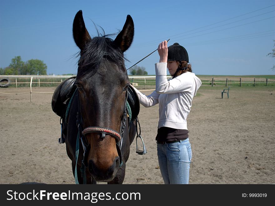 The front side image of a horse being prepared for riding by a young woman - girl and her horse. The front side image of a horse being prepared for riding by a young woman - girl and her horse