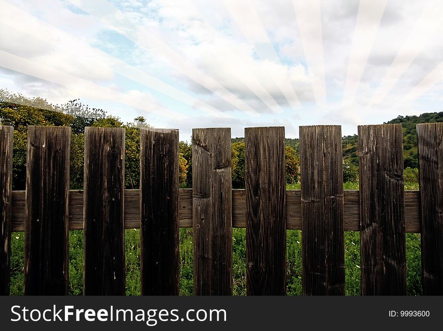 View of a wooden fence separating a orange tree plantation. View of a wooden fence separating a orange tree plantation.