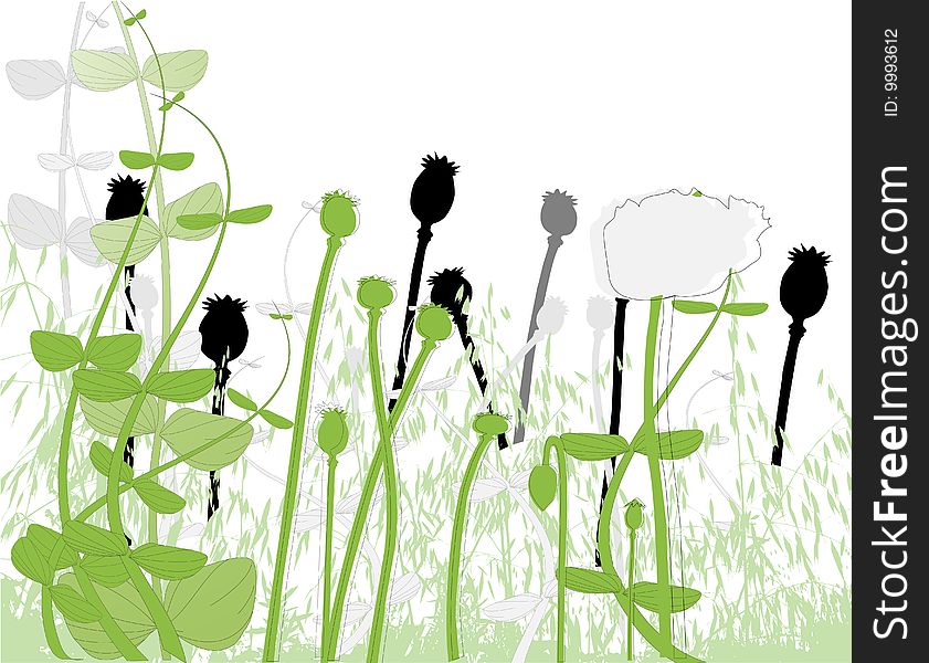 Illustration of Field under of corn poppy and grass and cereals