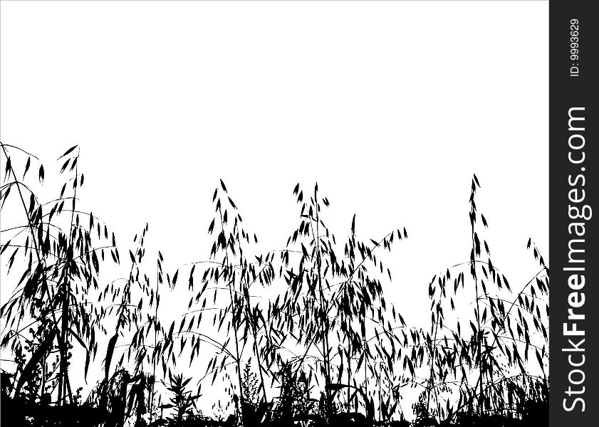 Illustration of Field under of grass and cereals