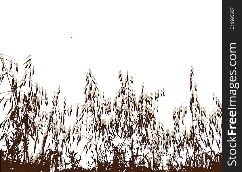 Illustration of Field under of grass and cereals