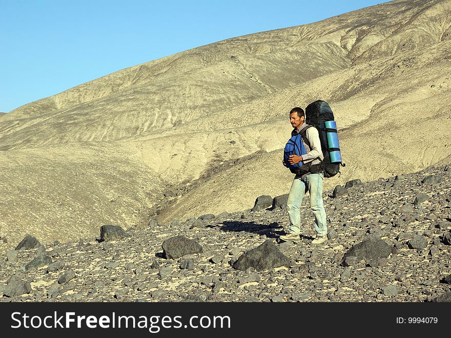 Solitary expeditionary in the Atacama Desert, Chile. Solitary expeditionary in the Atacama Desert, Chile.