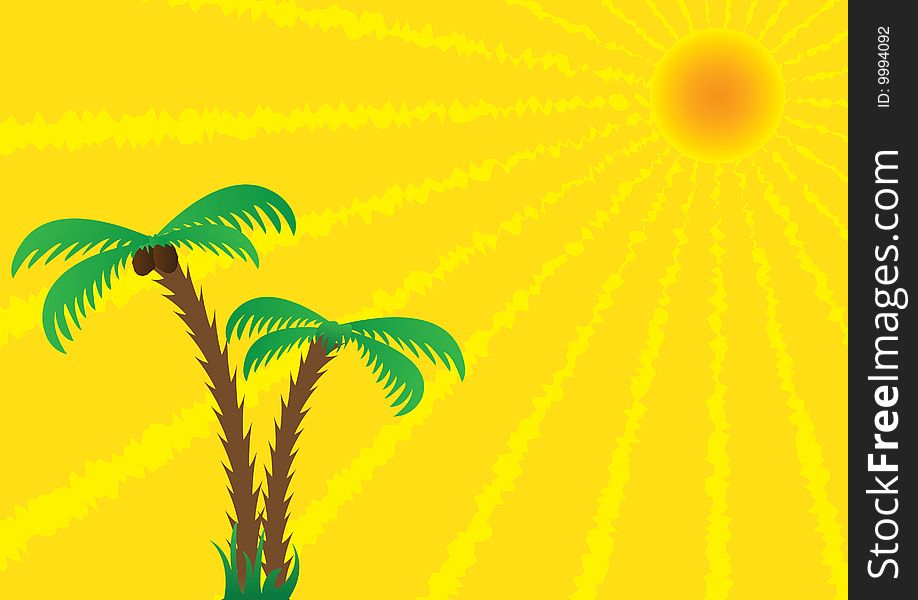 The sun and palm trees. The sun and palm trees