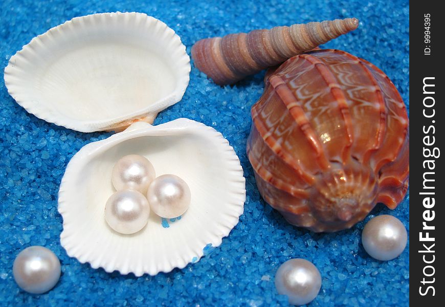 Beautiful sea photo of shells and pearls on interesting sandy blue background. Beautiful sea photo of shells and pearls on interesting sandy blue background