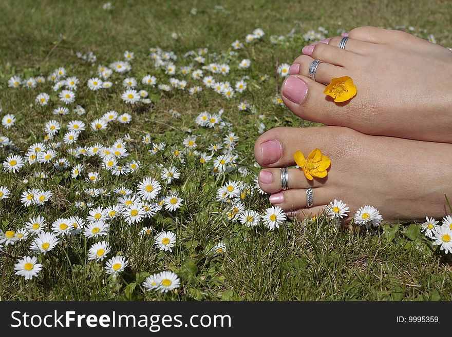 Woman's feet closeup in sunny meadow. Woman's feet closeup in sunny meadow