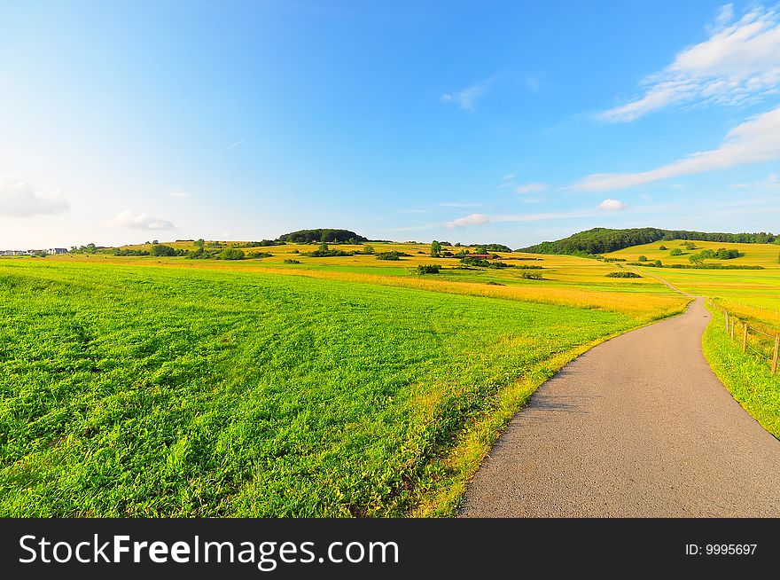 A meadow in late spring, Baden-Wuerttemberg, Germany. A meadow in late spring, Baden-Wuerttemberg, Germany