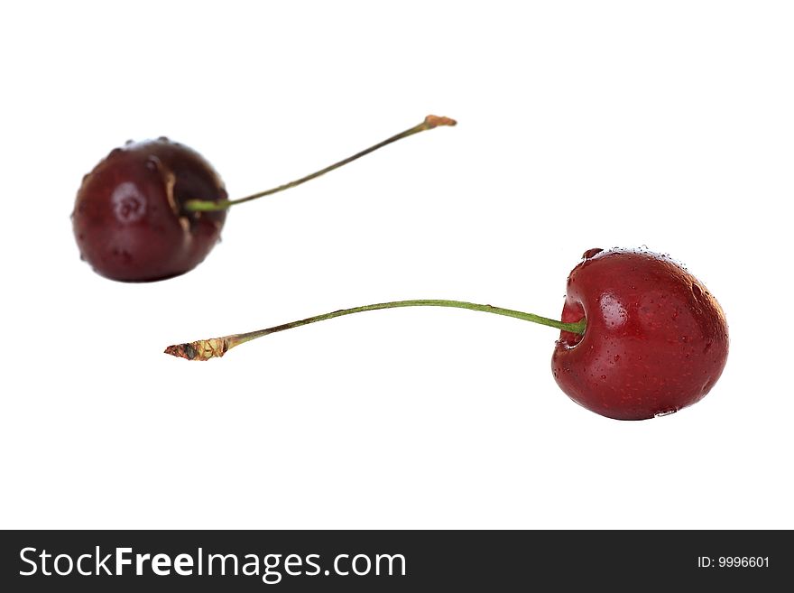 Cherry. Ripe berry with drops of water.