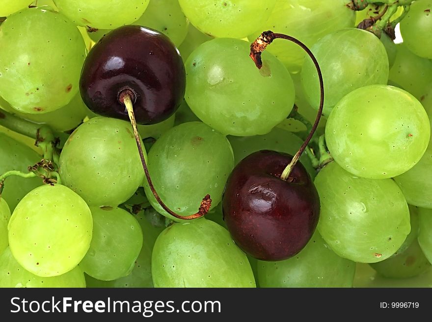 Cherry and green vine. Ripe berry with drops of water.