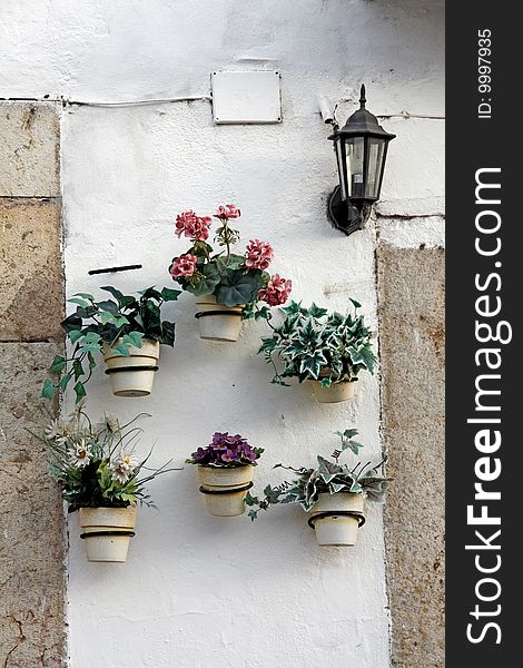 Several flower pots aligned on a wall.