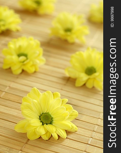 Yellow spring flowers on bamboo background. Flowers background.