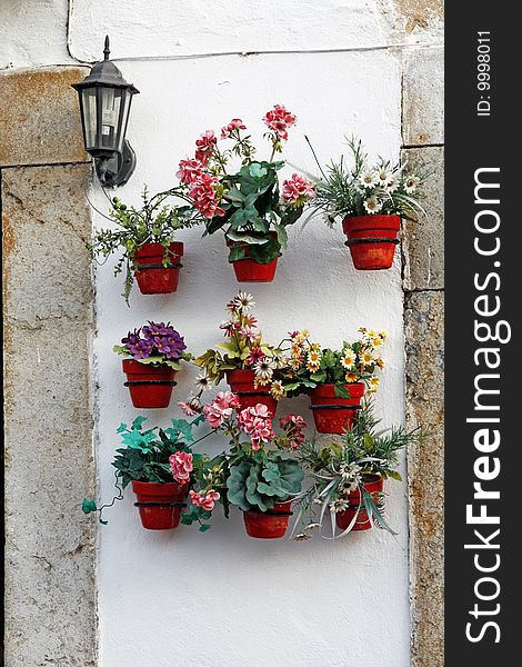 Several flower pots aligned on a wall.