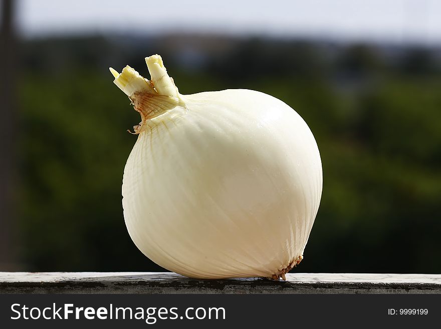 Closeup view of a pealed onion on a outdoor set.