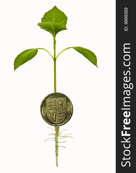 Plant rising from British pound coin