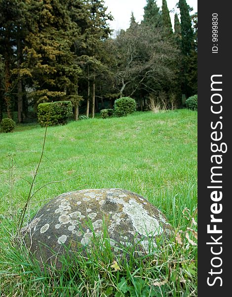 Gray stone on the green grass in forest. Gray stone on the green grass in forest