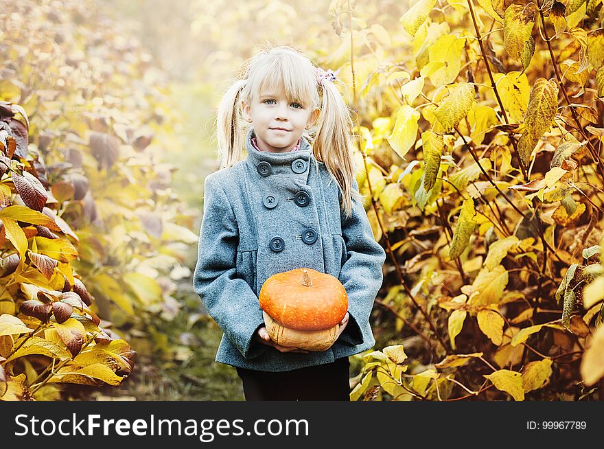 Adorable little girl holding pumpkin in yellow autumn park. Kid gathering yellow fall foliage. Autumn activities for children.