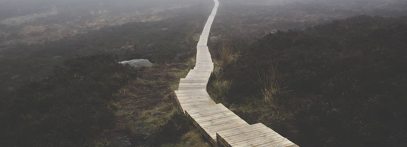 Brown Wooden Stairs on Body of Mountain