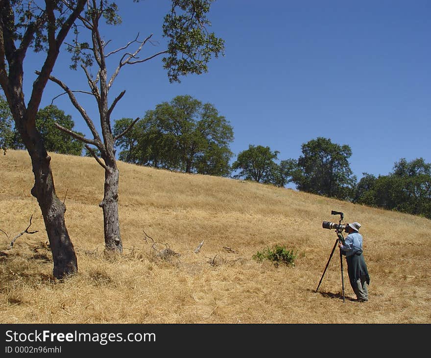 Birdwatcher taking pictures