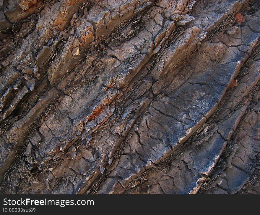 Close-up view of the trunk of a palm tree. Close-up view of the trunk of a palm tree.