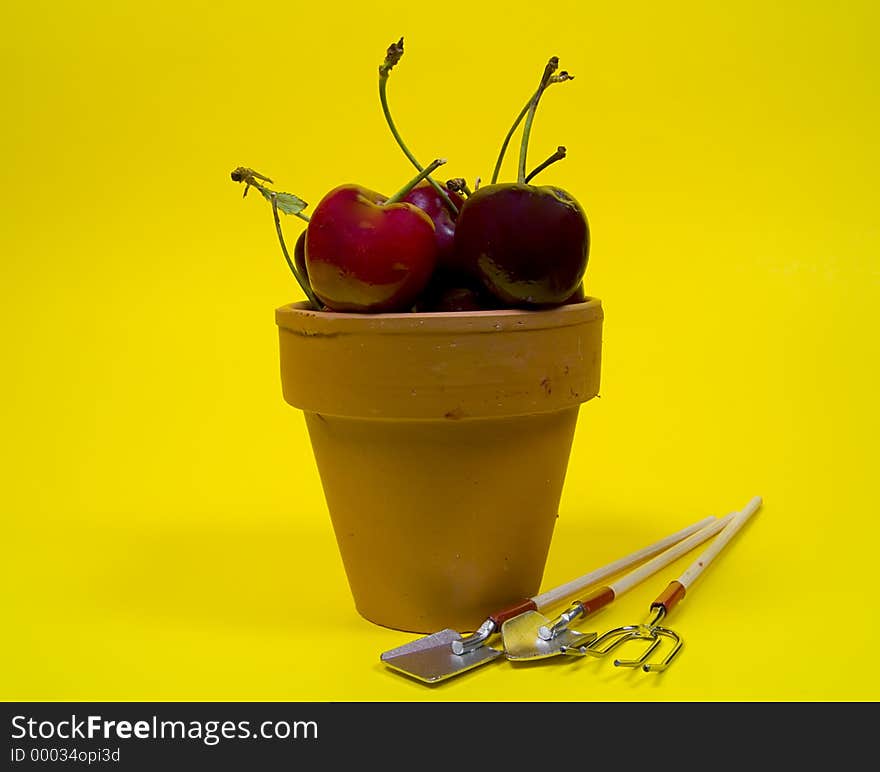 Photo of Clay Pot With Cherries. Photo of Clay Pot With Cherries