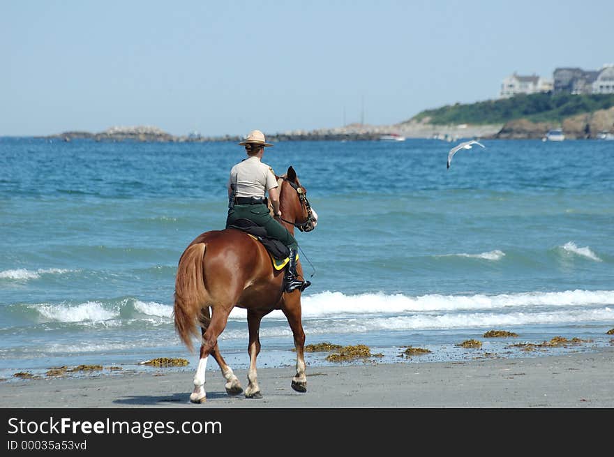 An environmental officer on horseback, patrolling the beach along the water's edge. An environmental officer on horseback, patrolling the beach along the water's edge