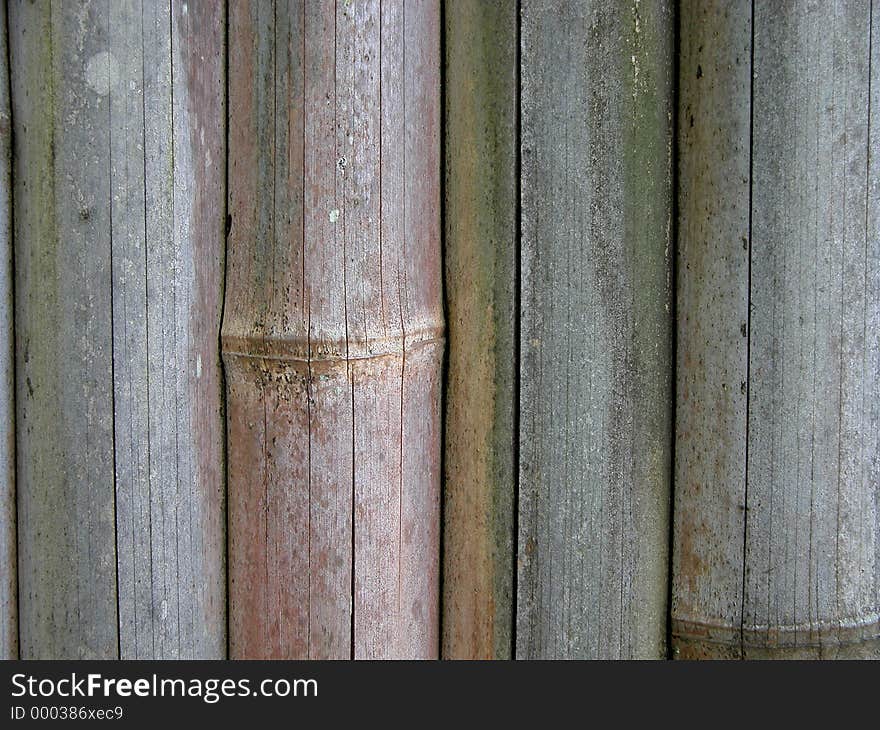 Bamboo Fence