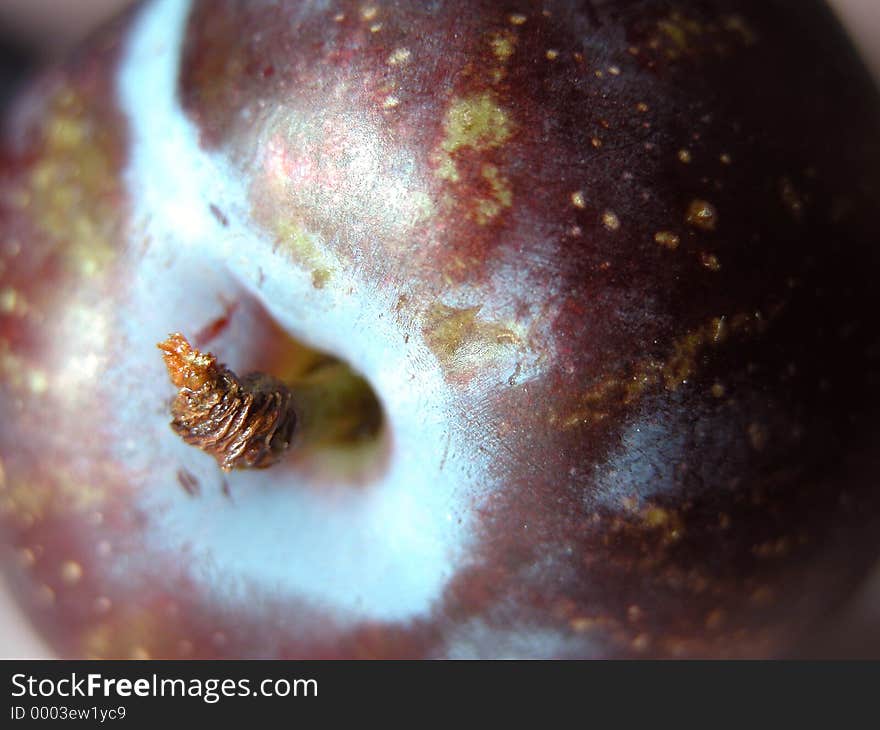 Closeup of a plum.