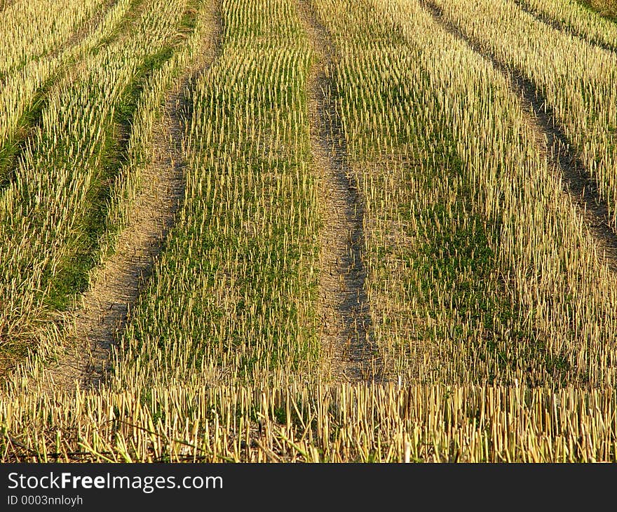 Stubble Field 1