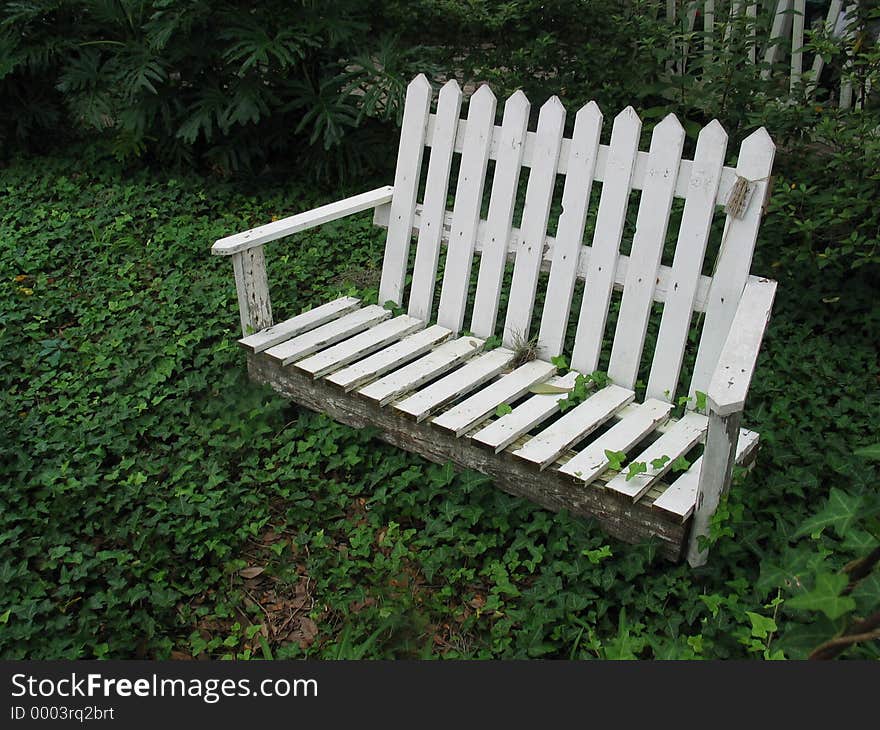 A white pickett fence bench sitting in a garden surrounded by ivy. A white pickett fence bench sitting in a garden surrounded by ivy