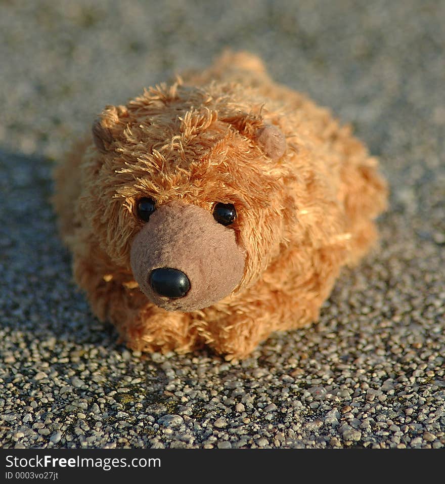 An upclose of a small teddy bear, face is clearly in focus, background is out of focus behind the bear, in focus just below and in front of the bear