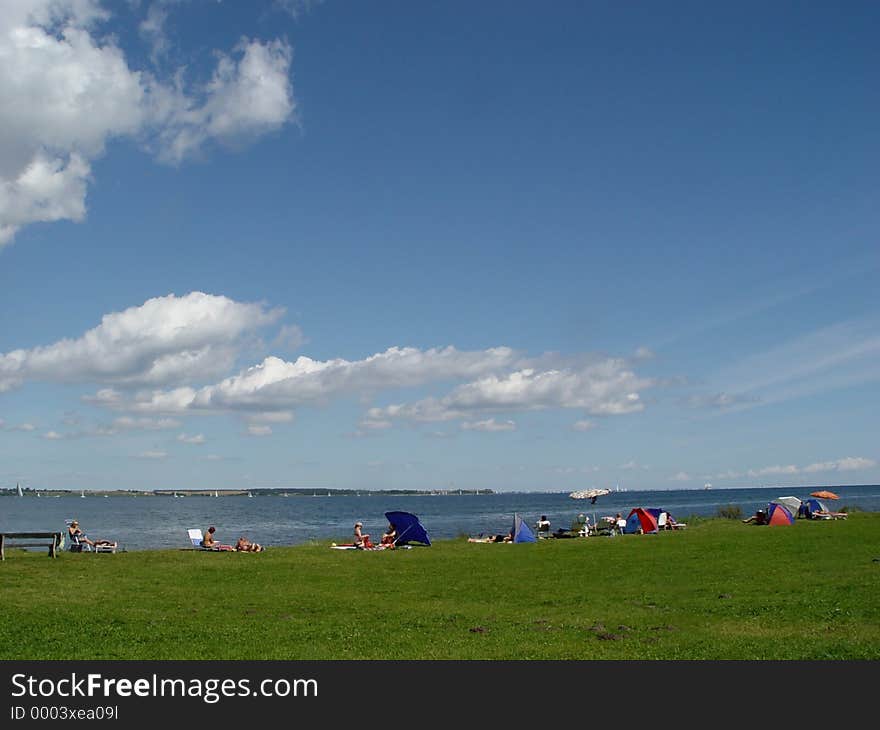 Beachlife At The Fjord