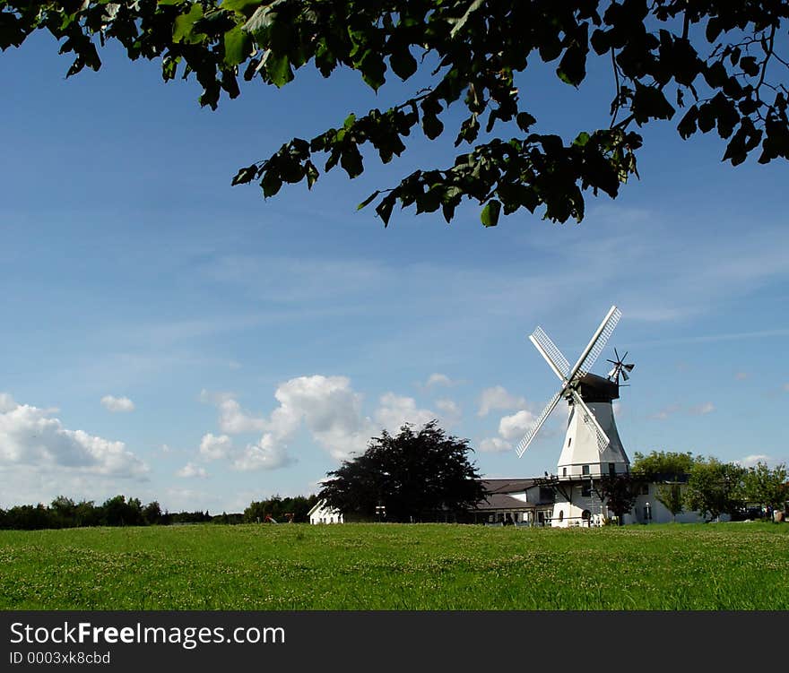 white windmill in summer