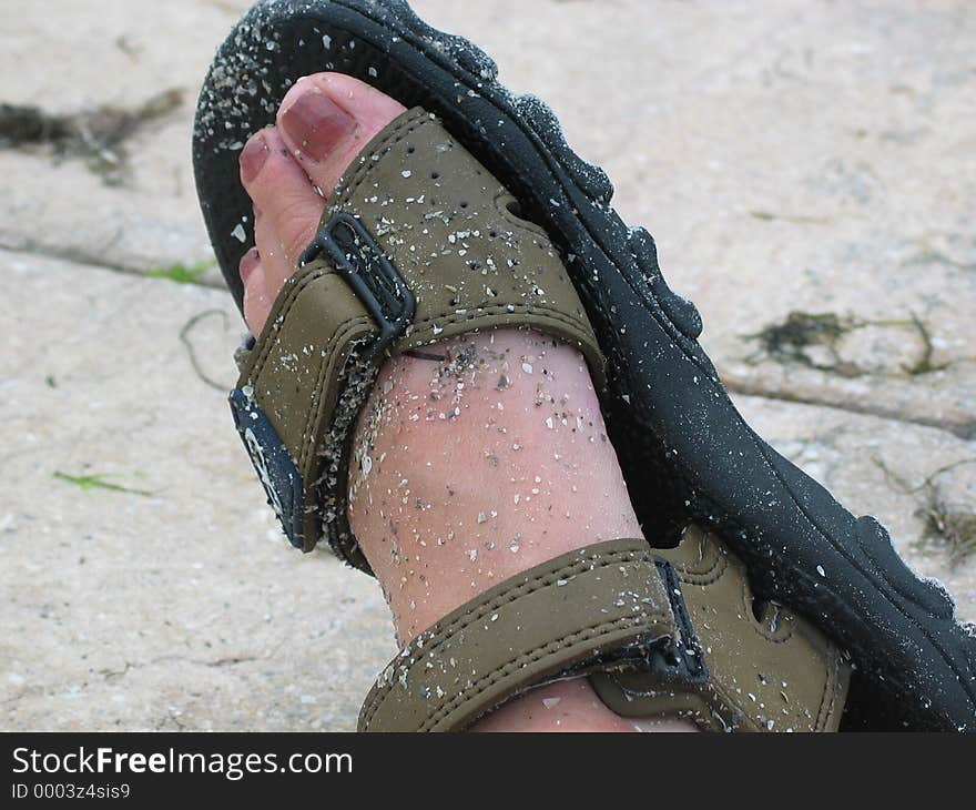 A sandy foot at the beach. A sandy foot at the beach