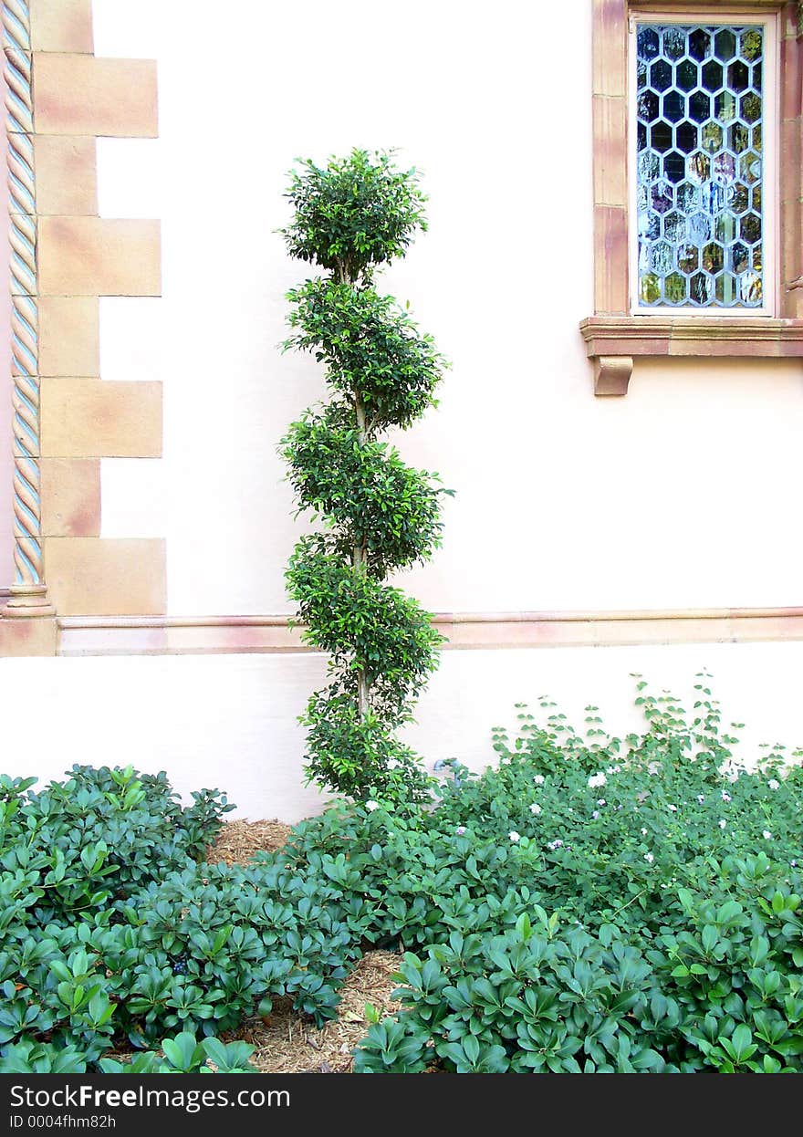 Tropical greenery grown in shape of a screw. with window detail. Tropical greenery grown in shape of a screw. with window detail