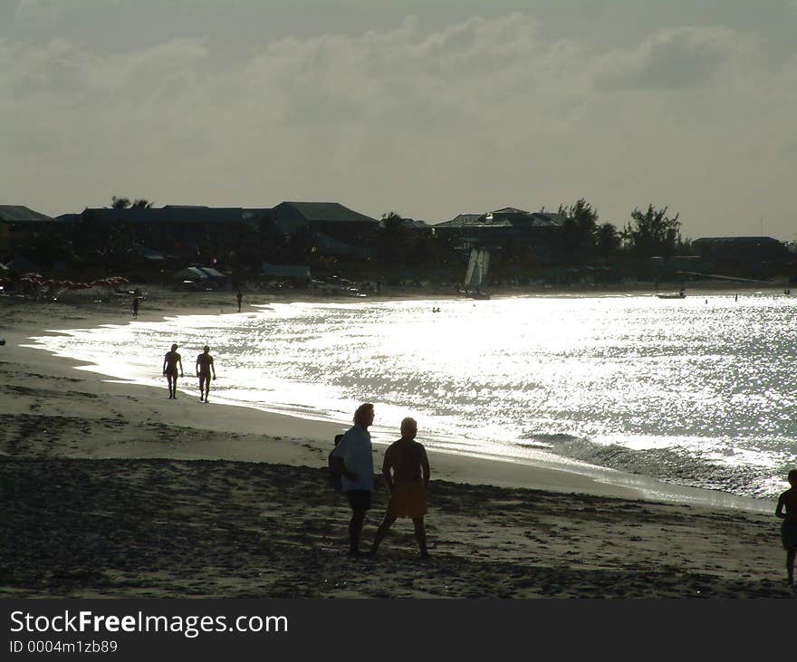 Tropical Sights - The Silver Ocean