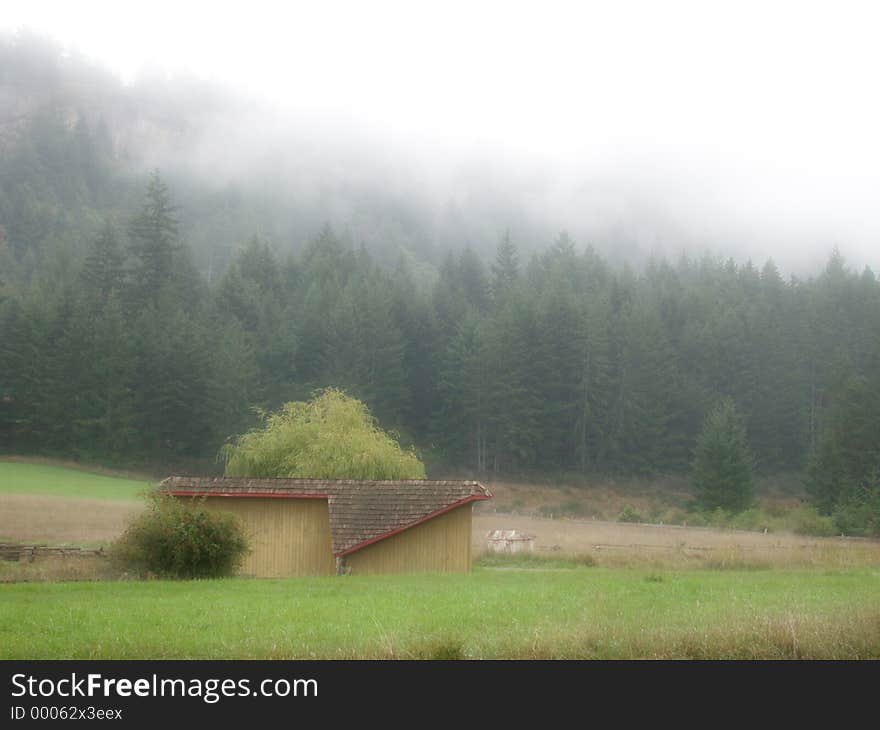 Foggy Farm