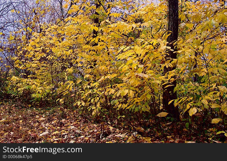 Hike along the C&O Canal