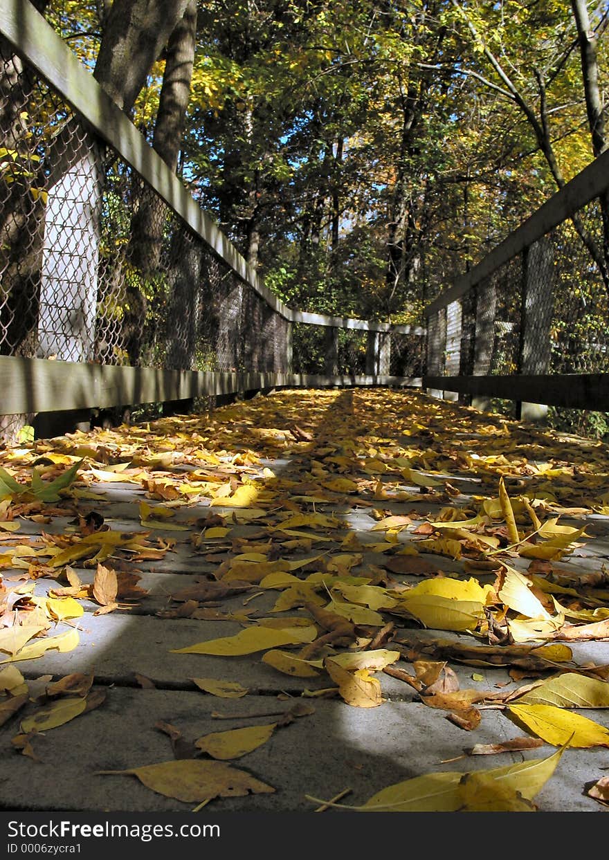 Autumn in Michigan