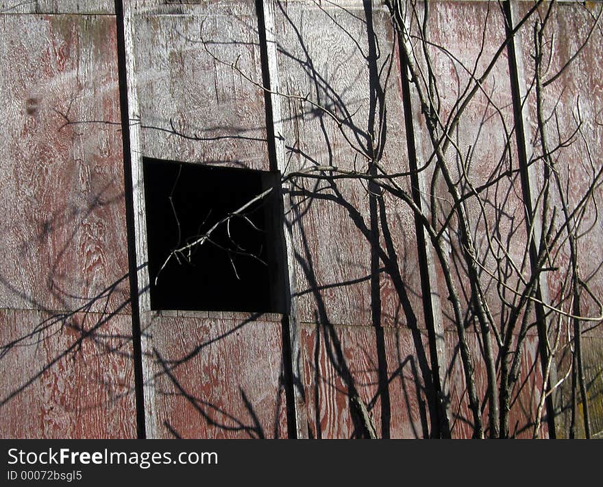 This is the wall of an old building on a farm, with a window cut out. Dying branches tangle up against it. I thought it looked kind of mysterious and eerie. This is the wall of an old building on a farm, with a window cut out. Dying branches tangle up against it. I thought it looked kind of mysterious and eerie.