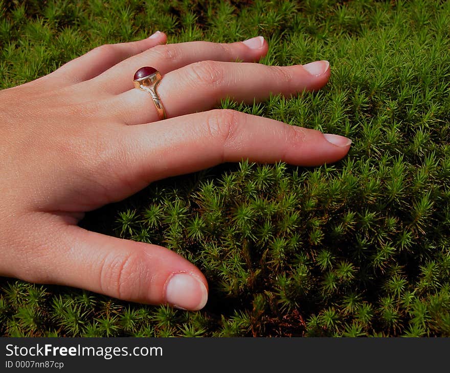 Woman hand and moss