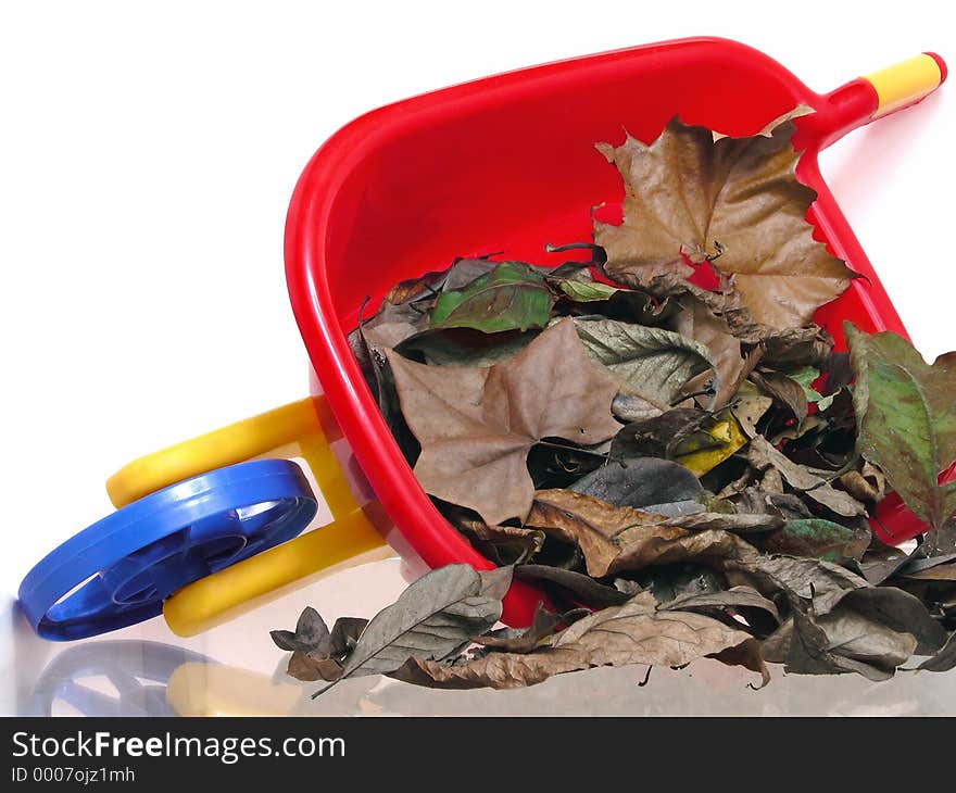 Toys: Plastic Wheelbarrel and Dry Leaves