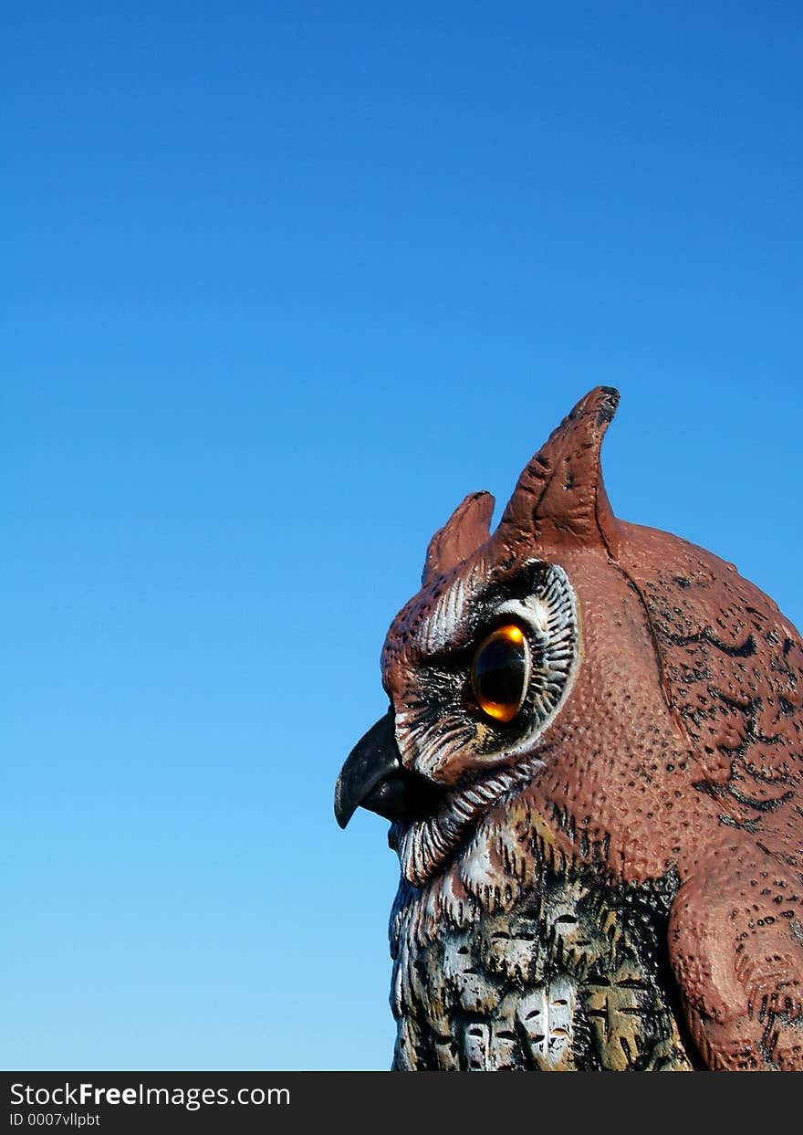 This is a profile view of our pet owl. Hootie is a garden scareowl that we bought at the hardware store, filled with sand, and set out to watch over our deck to keep the neighborhood birds away. This is a profile view of our pet owl. Hootie is a garden scareowl that we bought at the hardware store, filled with sand, and set out to watch over our deck to keep the neighborhood birds away.