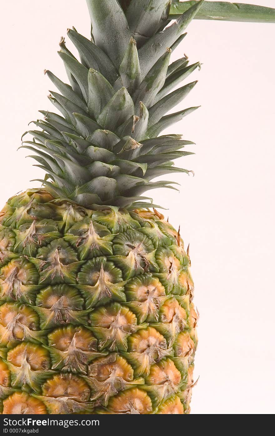 Pineapple Detail