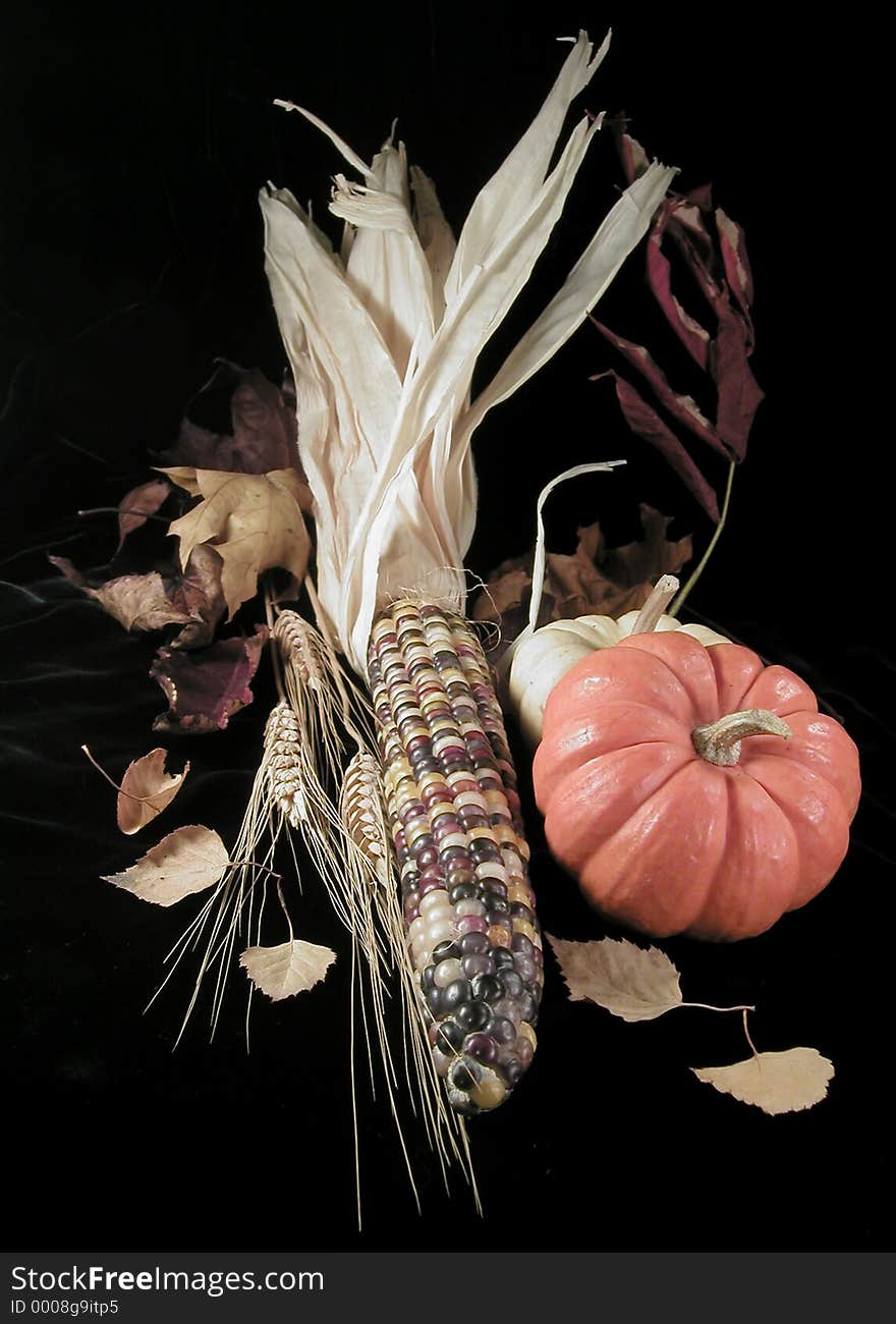 Autumn still life on black background, consisting of miniature pumpkins, an ear of maize, stalks of wheat, and dried leaves. Autumn still life on black background, consisting of miniature pumpkins, an ear of maize, stalks of wheat, and dried leaves.