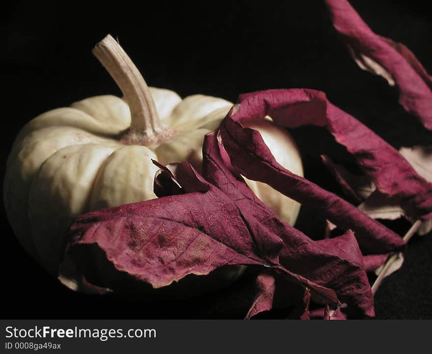 Macro of dried red leaves in front of a white pumpkin. Lighting is from the side, throwing shadows that blend into the black background. Focus is on the leaves, with the pumpkin slightly blurred. Macro of dried red leaves in front of a white pumpkin. Lighting is from the side, throwing shadows that blend into the black background. Focus is on the leaves, with the pumpkin slightly blurred.