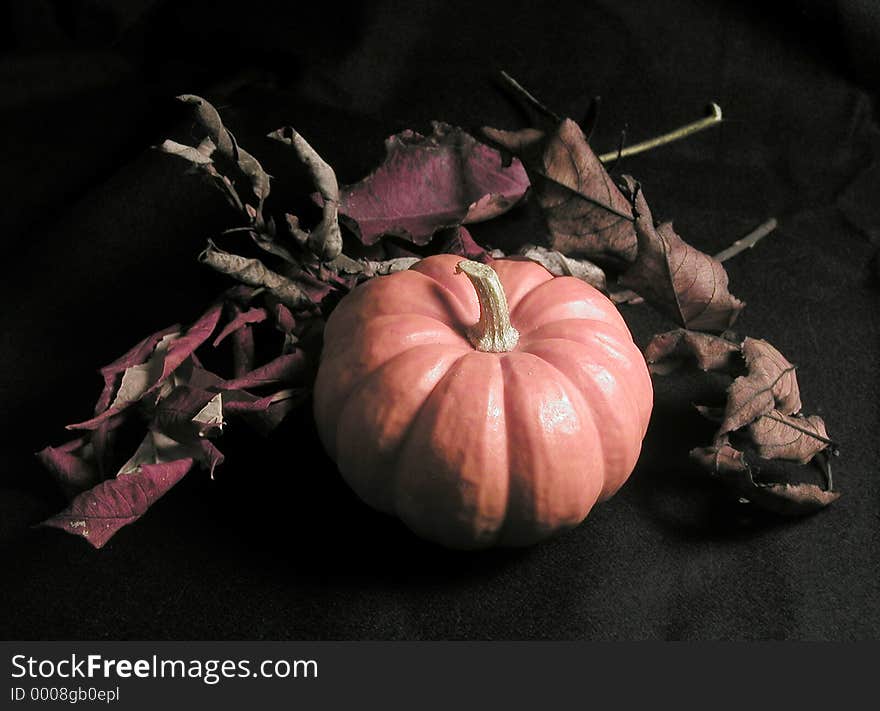 Still life on black background, consisting of a miniature pumpkin and dried leaves. Still life on black background, consisting of a miniature pumpkin and dried leaves.